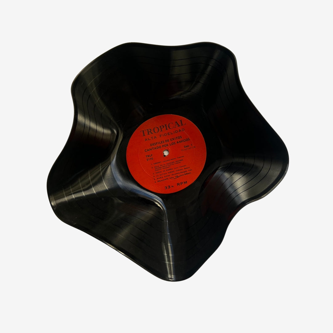 Tropical Alta Record Bowl